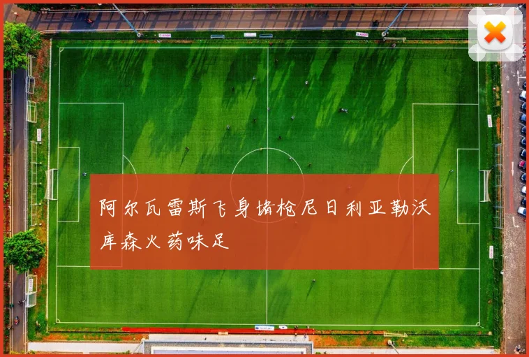 阿尔瓦雷斯飞身堵枪尼日利亚勒沃库森火药味足