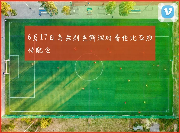 6月17日乌兹别克斯坦对哥伦比亚短传配合