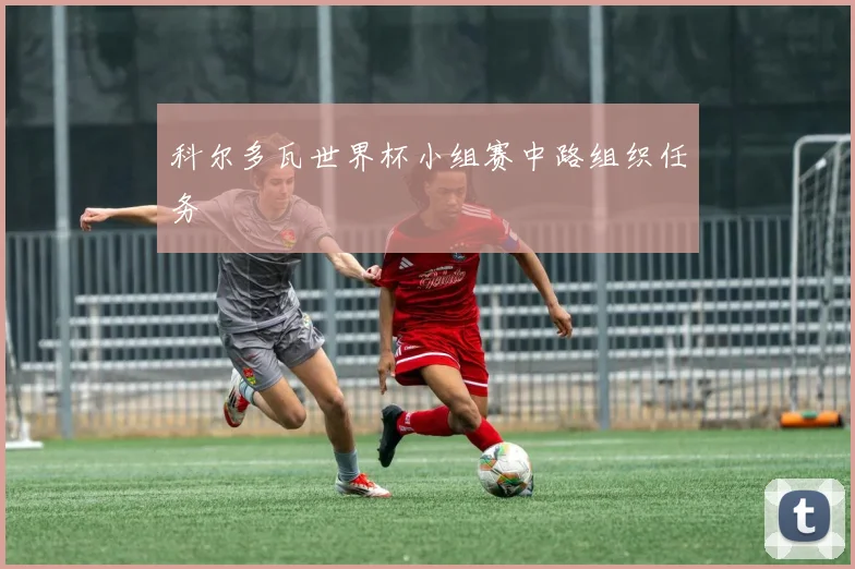 科尔多瓦世界杯小组赛中路组织任务