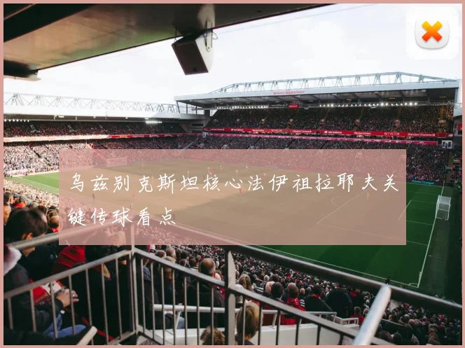 乌兹别克斯坦核心法伊祖拉耶夫关键传球看点