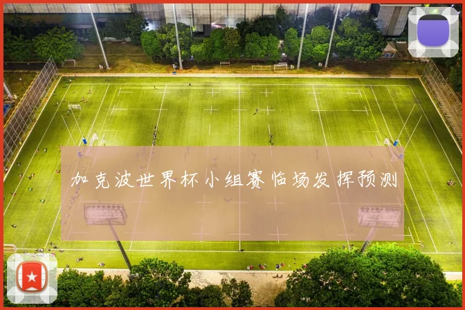 加克波世界杯小组赛临场发挥预测