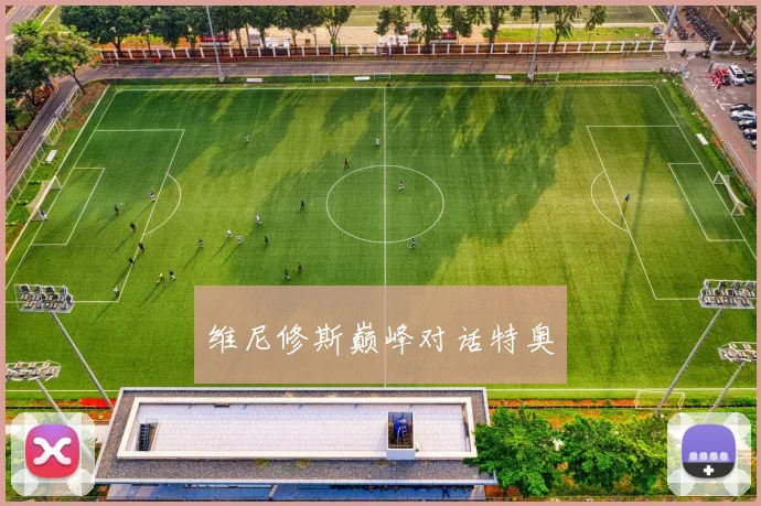 维尼修斯巅峰对话特奥