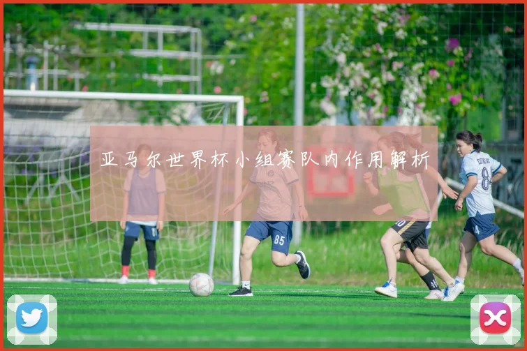 亚马尔世界杯小组赛队内作用解析