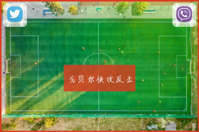 戈贝尔快攻反击