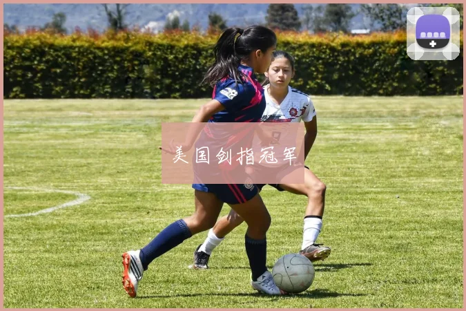 美国剑指冠军