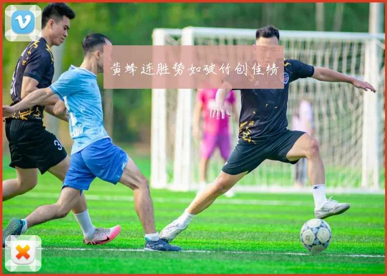 黄蜂连胜势如破竹创佳绩