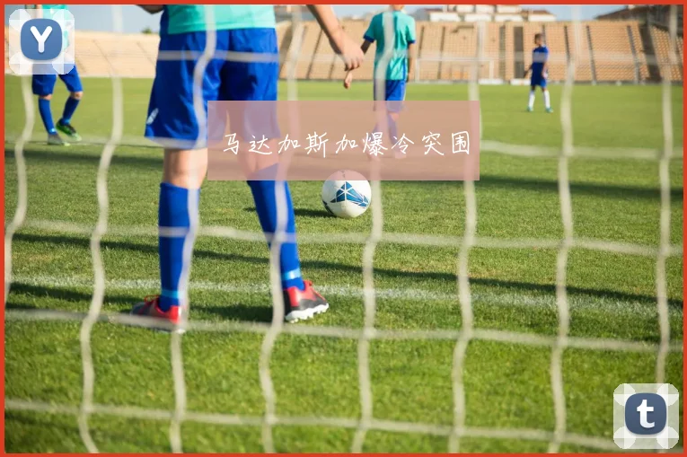 马达加斯加爆冷突围