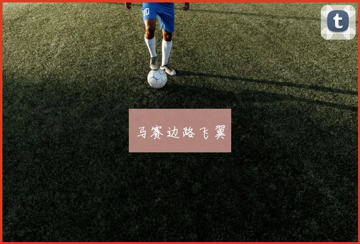 马赛边路飞翼