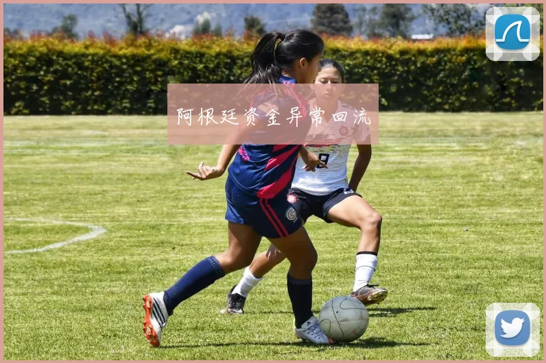 阿根廷资金异常回流