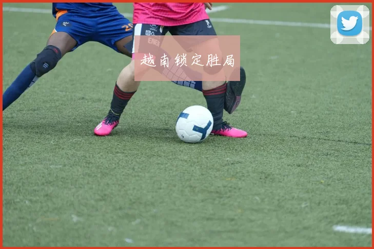 越南锁定胜局