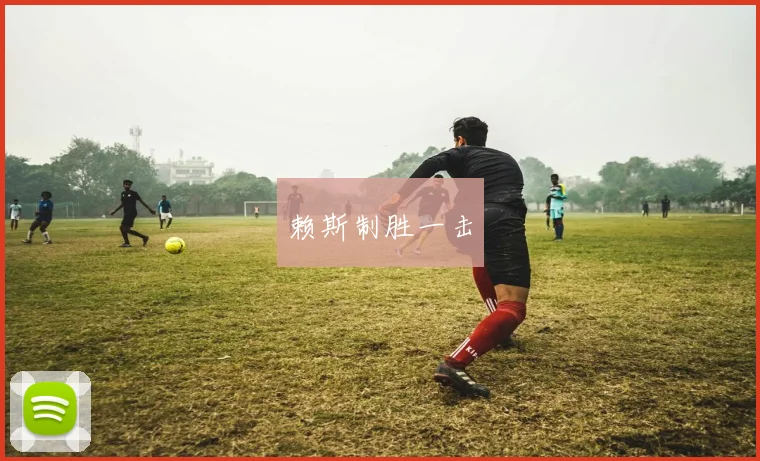 赖斯制胜一击