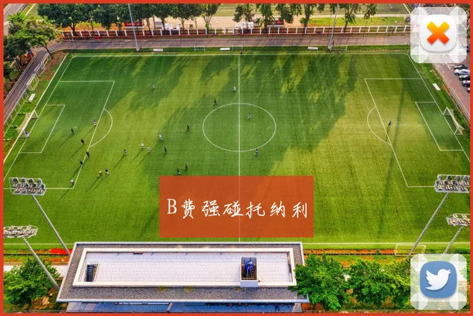 B费强碰托纳利