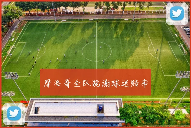 摩洛哥全队跪谢球迷赔率