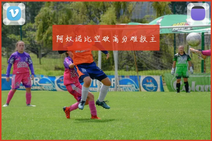阿奴诺比空砍高分难救主