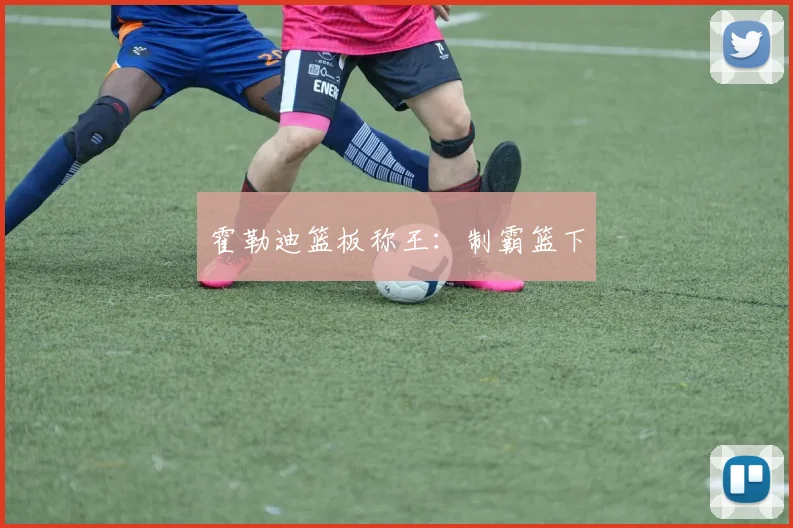 霍勒迪篮板称王：制霸篮下