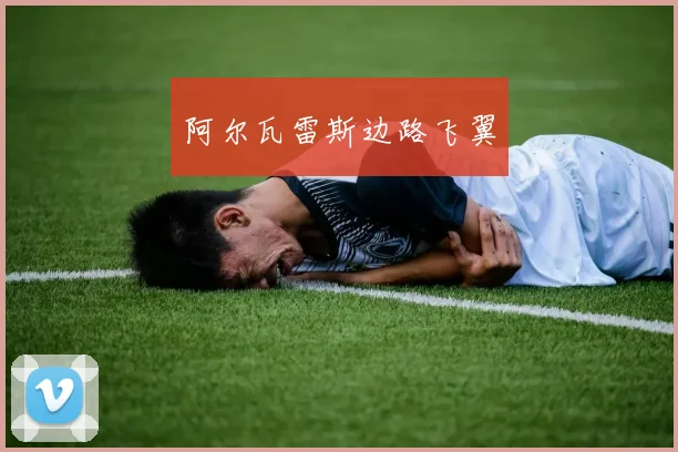 阿尔瓦雷斯边路飞翼