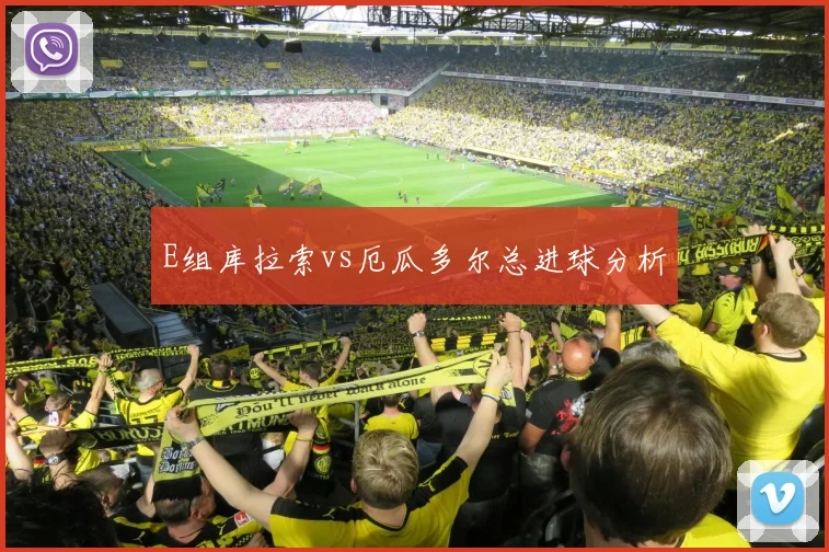 E组库拉索vs厄瓜多尔总进球分析