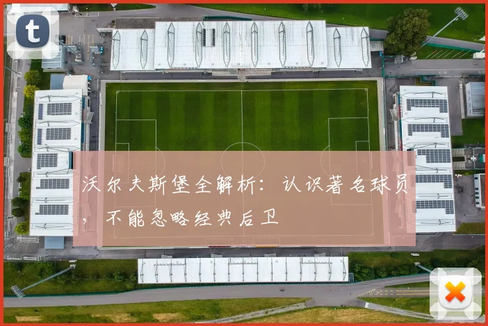 沃尔夫斯堡全解析:认识著名球员,不能忽略经典后卫